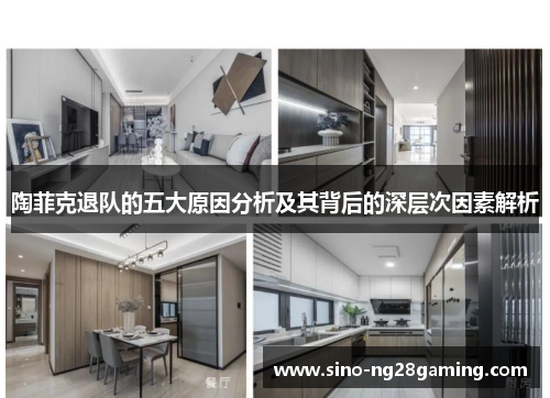 陶菲克退队的五大原因分析及其背后的深层次因素解析