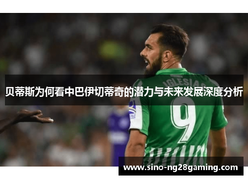 贝蒂斯为何看中巴伊切蒂奇的潜力与未来发展深度分析