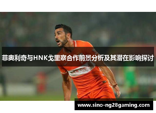 菲奥利奇与HNK戈里察合作前景分析及其潜在影响探讨